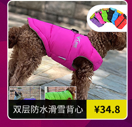 寵物衣架批發(fā)指南 高效便捷的寵物用品采購解決方案